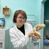 ...e poi di un vero e proprio pitone. �Questo � un �pet� che ha bisogno di particolari attenzioni�, afferma la veterinaria mentre prende in braccio il rettile...